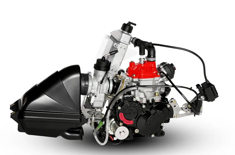 125 Senior Max Evo Rotax Engine 1