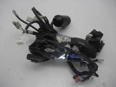2006 Yamaha Vstar 1100 Classic Xvs1100 Wire Harness Used K3174-10 (A23) 1