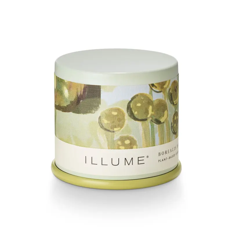 Borealis Moss Demi Vanity Tin Candle 1