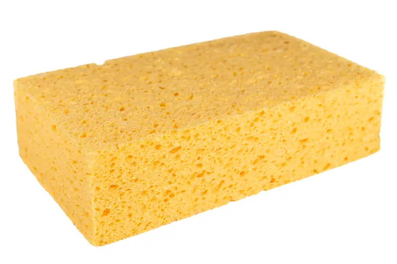 C41 Extra-Large Commercial Sponge 1