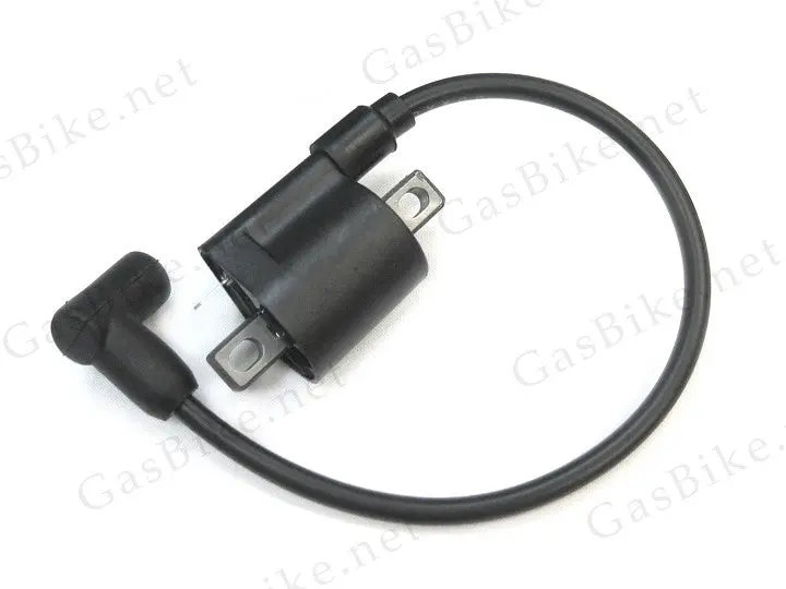 Capacitor 80Cc Gas Motorized Bicycle 1