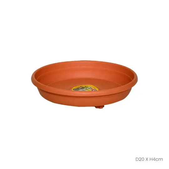 Daiza Garden Pot Base - No.2 (Gp3602p) 1