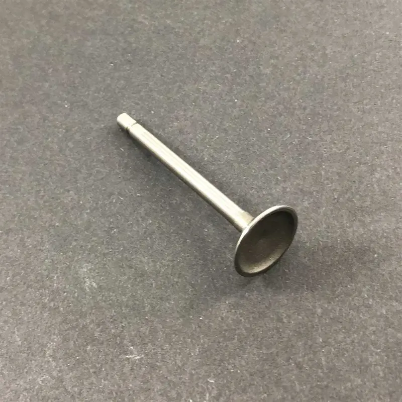 Lo206 - Intake Valve 1