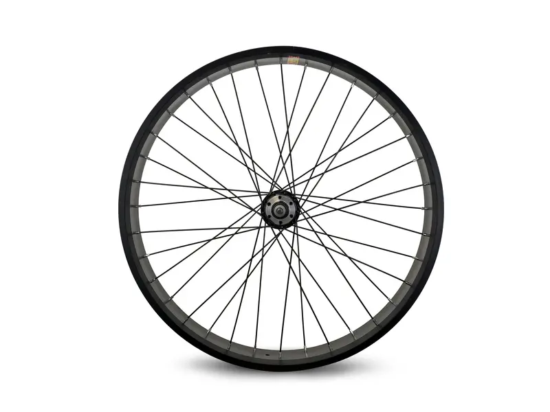 Phatmoto All-Terrain Fat Tire Rear Wheel 1
