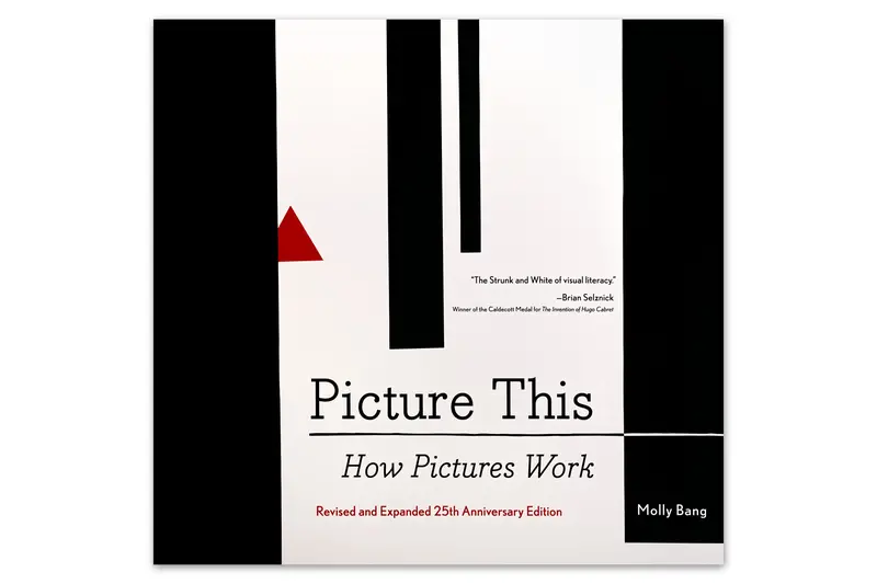 Picture This: How Pictures Work 1