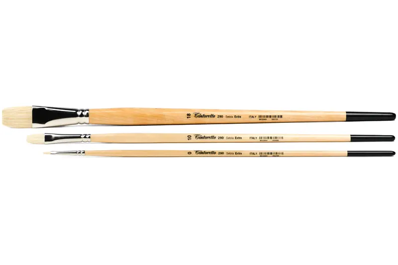 Setola Extra Long-Handled Bristle Brushes, Series 290 (Flat) 1