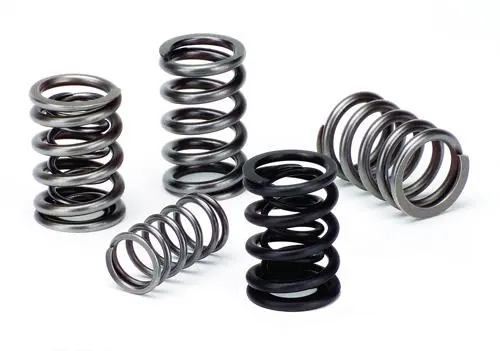 Supertech Valve Springs 1