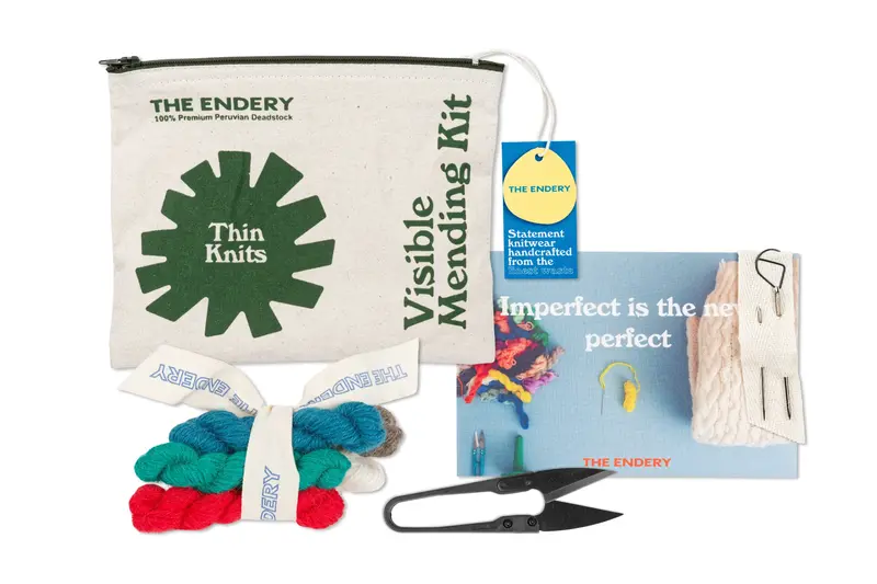 Visible Mending Starter Kit, Thin Knits 1
