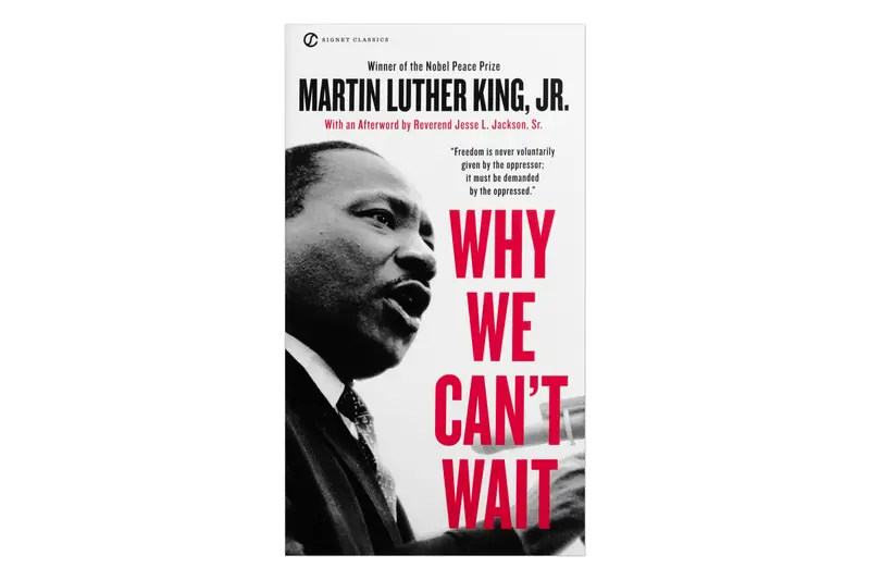 Why We Can't Wait 1